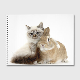 Альбом для рисования с принтом Кот и кролик в Курске, 100% бумага
 | матовая бумага, плотность 200 мг. | Тематика изображения на принте: cat | cute | fluffy | friends | friendship | hug | kitty | rabbit | toddlers | дружба | друзья | кот | котенок | кролик | любовь | малыши | милые | обнимаются | пушистые