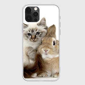 Чехол для iPhone 12 Pro Max с принтом Кот и кролик в Курске, Силикон |  | cat | cute | fluffy | friends | friendship | hug | kitty | rabbit | toddlers | дружба | друзья | кот | котенок | кролик | любовь | малыши | милые | обнимаются | пушистые