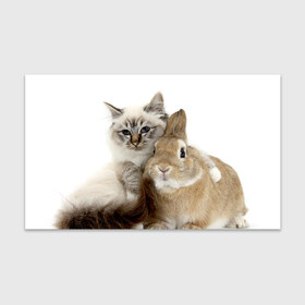 Бумага для упаковки 3D с принтом Кот и кролик в Курске, пластик и полированная сталь | круглая форма, металлическое крепление в виде кольца | Тематика изображения на принте: cat | cute | fluffy | friends | friendship | hug | kitty | rabbit | toddlers | дружба | друзья | кот | котенок | кролик | любовь | малыши | милые | обнимаются | пушистые
