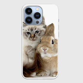 Чехол для iPhone 13 Pro с принтом Кот и кролик в Курске,  |  | cat | cute | fluffy | friends | friendship | hug | kitty | rabbit | toddlers | дружба | друзья | кот | котенок | кролик | любовь | малыши | милые | обнимаются | пушистые