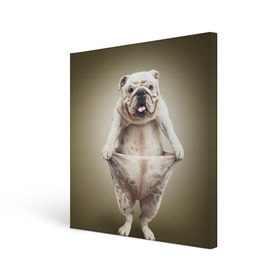 Холст квадратный с принтом Бульдог английский в Курске, 100% ПВХ |  | Тематика изображения на принте: animals | breed | dog | english bulldog | funny | joke | pants | surrealism | бульдог английский | животное | порода | прикол | собака | сюрреализм | шутка