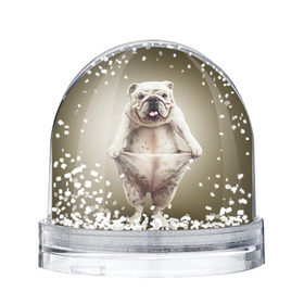 Снежный шар с принтом Бульдог английский в Курске, Пластик | Изображение внутри шара печатается на глянцевой фотобумаге с двух сторон | Тематика изображения на принте: animals | breed | dog | english bulldog | funny | joke | pants | surrealism | бульдог английский | животное | порода | прикол | собака | сюрреализм | шутка