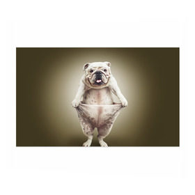 Бумага для упаковки 3D с принтом Бульдог английский в Курске, пластик и полированная сталь | круглая форма, металлическое крепление в виде кольца | Тематика изображения на принте: animals | breed | dog | english bulldog | funny | joke | pants | surrealism | бульдог английский | животное | порода | прикол | собака | сюрреализм | шутка