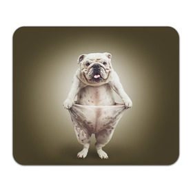 Коврик прямоугольный с принтом Бульдог английский в Курске, натуральный каучук | размер 230 х 185 мм; запечатка лицевой стороны | Тематика изображения на принте: animals | breed | dog | english bulldog | funny | joke | pants | surrealism | бульдог английский | животное | порода | прикол | собака | сюрреализм | шутка