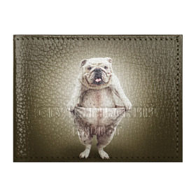 Обложка для студенческого билета с принтом Бульдог английский в Курске, натуральная кожа | Размер: 11*8 см; Печать на всей внешней стороне | Тематика изображения на принте: animals | breed | dog | english bulldog | funny | joke | pants | surrealism | бульдог английский | животное | порода | прикол | собака | сюрреализм | шутка