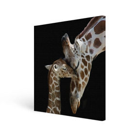 Холст квадратный с принтом Жирафы в Курске, 100% ПВХ |  | africa | animals | baby | child | family | giraffes | head | mother | африка | головы | животные | жирафы | любовь | малыш | мама | ребенок | семья
