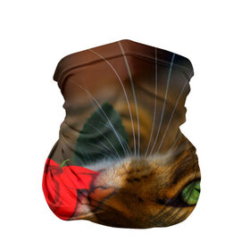 Бандана-труба 3D с принтом Кошечка в Курске, 100% полиэстер, ткань с особыми свойствами — Activecool | плотность 150‒180 г/м2; хорошо тянется, но сохраняет форму | животные | кот | кошка | милая