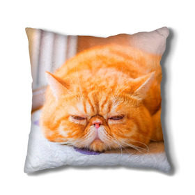 Подушка 3D с принтом Рыжий кот в Курске, наволочка – 100% полиэстер, наполнитель – холлофайбер (легкий наполнитель, не вызывает аллергию). | состоит из подушки и наволочки. Наволочка на молнии, легко снимается для стирки | Тематика изображения на принте: кот | кошка | милая | рыжий