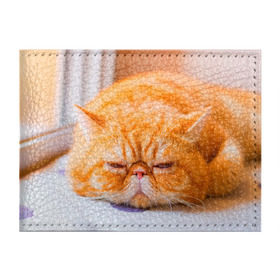 Обложка для студенческого билета с принтом Рыжий кот в Курске, натуральная кожа | Размер: 11*8 см; Печать на всей внешней стороне | Тематика изображения на принте: кот | кошка | милая | рыжий