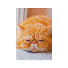 Обложка для паспорта матовая кожа с принтом Рыжий кот в Курске, натуральная матовая кожа | размер 19,3 х 13,7 см; прозрачные пластиковые крепления | Тематика изображения на принте: кот | кошка | милая | рыжий
