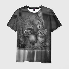 Мужская футболка 3D с принтом Котята в Курске, 100% полиэфир | прямой крой, круглый вырез горловины, длина до линии бедер | животные | кот | кошка | милая
