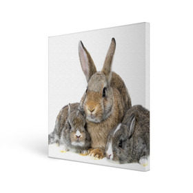 Холст квадратный с принтом Кролики в Курске, 100% ПВХ |  | animals | bunnies | cute | eared | family | fluffy | kids | mom | rabbits | животные | зайцы | кролики | малыши | мама | милые | пушистые | семья | ушастые
