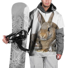 Накидка на куртку 3D с принтом Кролики в Курске, 100% полиэстер |  | Тематика изображения на принте: animals | bunnies | cute | eared | family | fluffy | kids | mom | rabbits | животные | зайцы | кролики | малыши | мама | милые | пушистые | семья | ушастые