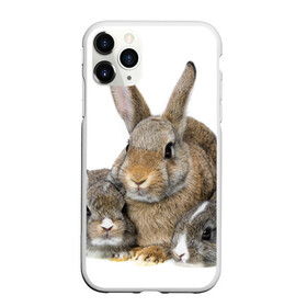 Чехол для iPhone 11 Pro матовый с принтом Кролики в Курске, Силикон |  | animals | bunnies | cute | eared | family | fluffy | kids | mom | rabbits | животные | зайцы | кролики | малыши | мама | милые | пушистые | семья | ушастые