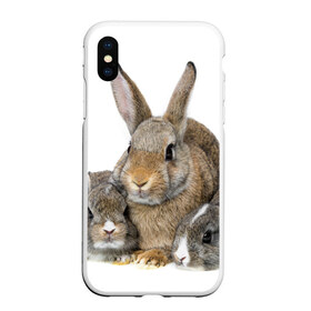 Чехол для iPhone XS Max матовый с принтом Кролики в Курске, Силикон | Область печати: задняя сторона чехла, без боковых панелей | animals | bunnies | cute | eared | family | fluffy | kids | mom | rabbits | животные | зайцы | кролики | малыши | мама | милые | пушистые | семья | ушастые