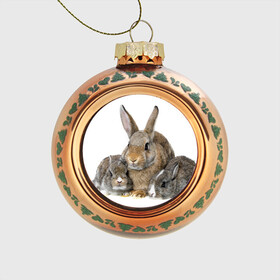 Стеклянный ёлочный шар с принтом Кролики в Курске, Стекло | Диаметр: 80 мм | animals | bunnies | cute | eared | family | fluffy | kids | mom | rabbits | животные | зайцы | кролики | малыши | мама | милые | пушистые | семья | ушастые