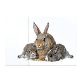 Магнитный плакат 3Х2 с принтом Кролики в Курске, Полимерный материал с магнитным слоем | 6 деталей размером 9*9 см | Тематика изображения на принте: animals | bunnies | cute | eared | family | fluffy | kids | mom | rabbits | животные | зайцы | кролики | малыши | мама | милые | пушистые | семья | ушастые