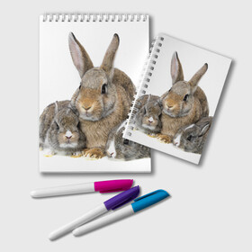 Блокнот с принтом Кролики в Курске, 100% бумага | 48 листов, плотность листов — 60 г/м2, плотность картонной обложки — 250 г/м2. Листы скреплены удобной пружинной спиралью. Цвет линий — светло-серый
 | Тематика изображения на принте: animals | bunnies | cute | eared | family | fluffy | kids | mom | rabbits | животные | зайцы | кролики | малыши | мама | милые | пушистые | семья | ушастые