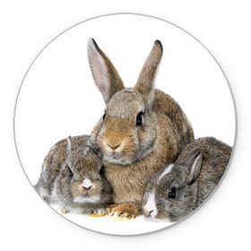 Коврик круглый с принтом Кролики в Курске, резина и полиэстер | круглая форма, изображение наносится на всю лицевую часть | animals | bunnies | cute | eared | family | fluffy | kids | mom | rabbits | животные | зайцы | кролики | малыши | мама | милые | пушистые | семья | ушастые