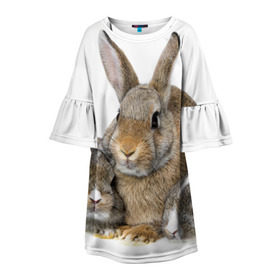 Детское платье 3D с принтом Кролики в Курске, 100% полиэстер | прямой силуэт, чуть расширенный к низу. Круглая горловина, на рукавах — воланы | Тематика изображения на принте: animals | bunnies | cute | eared | family | fluffy | kids | mom | rabbits | животные | зайцы | кролики | малыши | мама | милые | пушистые | семья | ушастые