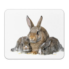 Коврик прямоугольный с принтом Кролики в Курске, натуральный каучук | размер 230 х 185 мм; запечатка лицевой стороны | animals | bunnies | cute | eared | family | fluffy | kids | mom | rabbits | животные | зайцы | кролики | малыши | мама | милые | пушистые | семья | ушастые