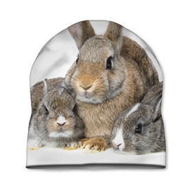 Шапка 3D с принтом Кролики в Курске, 100% полиэстер | универсальный размер, печать по всей поверхности изделия | Тематика изображения на принте: animals | bunnies | cute | eared | family | fluffy | kids | mom | rabbits | животные | зайцы | кролики | малыши | мама | милые | пушистые | семья | ушастые