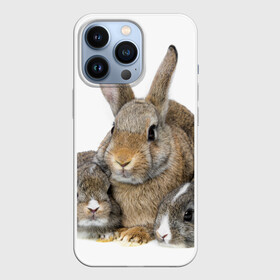 Чехол для iPhone 13 Pro с принтом Кролики в Курске,  |  | animals | bunnies | cute | eared | family | fluffy | kids | mom | rabbits | животные | зайцы | кролики | малыши | мама | милые | пушистые | семья | ушастые