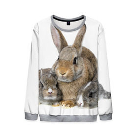 Мужской свитшот 3D с принтом Кролики в Курске, 100% полиэстер с мягким внутренним слоем | круглый вырез горловины, мягкая резинка на манжетах и поясе, свободная посадка по фигуре | animals | bunnies | cute | eared | family | fluffy | kids | mom | rabbits | животные | зайцы | кролики | малыши | мама | милые | пушистые | семья | ушастые