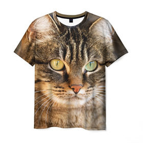 Мужская футболка 3D с принтом Кот в Курске, 100% полиэфир | прямой крой, круглый вырез горловины, длина до линии бедер | animal | cat | eyes | face | head | kote | mustache | pet | взгляд | глаза | голова | домашнее | животное | кот | котэ | кошка | усы