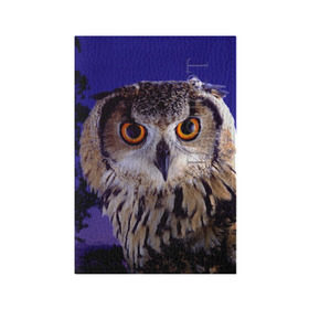 Обложка для паспорта матовая кожа с принтом Сова в ночи в Курске, натуральная матовая кожа | размер 19,3 х 13,7 см; прозрачные пластиковые крепления | животные | ночь | птица | сова