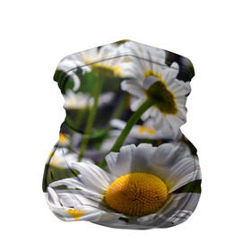 Бандана-труба 3D с принтом Ромашки в Курске, 100% полиэстер, ткань с особыми свойствами — Activecool | плотность 150‒180 г/м2; хорошо тянется, но сохраняет форму | желтая | лепесток | природа | ромашка | цветок | яркая
