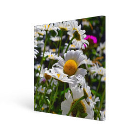 Холст квадратный с принтом Ромашки в Курске, 100% ПВХ |  | Тематика изображения на принте: желтая | лепесток | природа | ромашка | цветок | яркая