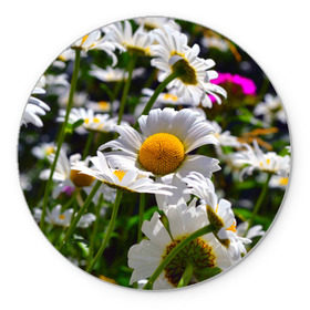 Коврик круглый с принтом Ромашки в Курске, резина и полиэстер | круглая форма, изображение наносится на всю лицевую часть | желтая | лепесток | природа | ромашка | цветок | яркая