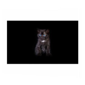 Бумага для упаковки 3D с принтом Чёрный котёнок в Курске, пластик и полированная сталь | круглая форма, металлическое крепление в виде кольца | Тематика изображения на принте: киска | кот | кошка