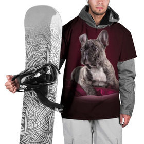 Накидка на куртку 3D с принтом Бульдог в Курске, 100% полиэстер |  | бульдог | кутёнок | прикольные картинки | собака | щенок