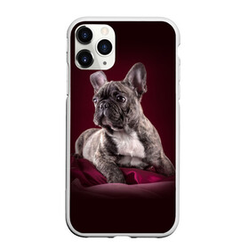 Чехол для iPhone 11 Pro матовый с принтом Бульдог в Курске, Силикон |  | бульдог | кутёнок | прикольные картинки | собака | щенок