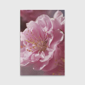 Обложка для паспорта матовая кожа с принтом Розовые цветы в Курске, натуральная матовая кожа | размер 19,3 х 13,7 см; прозрачные пластиковые крепления | Тематика изображения на принте: девушкам | розы | цветочки | цветы