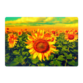 Магнитный плакат 3Х2 с принтом Подсолнухи в Курске, Полимерный материал с магнитным слоем | 6 деталей размером 9*9 см | лето | подсолнух | солнце | цветы