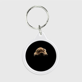 Брелок круглый с принтом Щенок Sharpey в Курске, пластик и полированная сталь | круглая форма, металлическое крепление в виде кольца | кутёнок | прикольные картинки | собака | шарпей | щенок