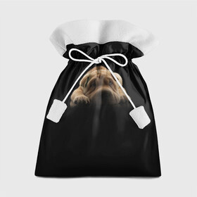 Подарочный 3D мешок с принтом Щенок Sharpey в Курске, 100% полиэстер | Размер: 29*39 см | кутёнок | прикольные картинки | собака | шарпей | щенок