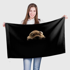 Флаг 3D с принтом Щенок Sharpey в Курске, 100% полиэстер | плотность ткани — 95 г/м2, размер — 67 х 109 см. Принт наносится с одной стороны | кутёнок | прикольные картинки | собака | шарпей | щенок
