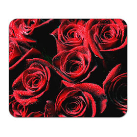 Коврик прямоугольный с принтом Розы в Курске, натуральный каучук | размер 230 х 185 мм; запечатка лицевой стороны | Тематика изображения на принте: алый | красный | роса | фото | цветы