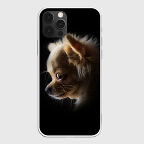 Чехол для iPhone 12 Pro Max с принтом Чихуахуа в Курске, Силикон |  | Тематика изображения на принте: голова животного | прикольные картинки | собака | чихуахуа | щенок