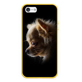 Чехол для iPhone 5/5S матовый с принтом Чихуахуа в Курске, Силикон | Область печати: задняя сторона чехла, без боковых панелей | Тематика изображения на принте: голова животного | прикольные картинки | собака | чихуахуа | щенок