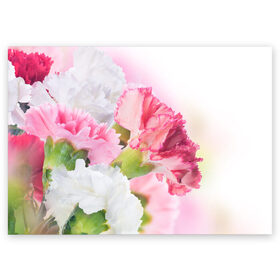 Поздравительная открытка с принтом Белые и розовые цветы в Курске, 100% бумага | плотность бумаги 280 г/м2, матовая, на обратной стороне линовка и место для марки
 | лепестки | прикольные картинки | цветочки | цветы