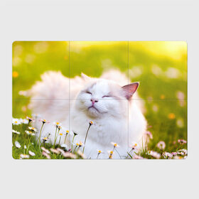 Магнитный плакат 3Х2 с принтом Белая киса в Курске, Полимерный материал с магнитным слоем | 6 деталей размером 9*9 см | Тематика изображения на принте: cat | киса | котенок | кошка | лето | ромашки | солнце