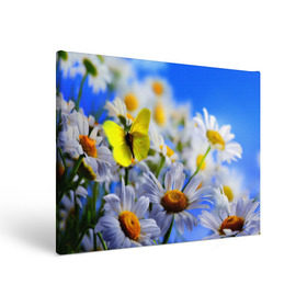 Холст прямоугольный с принтом Ромашки и бабочка в Курске, 100% ПВХ |  | Тематика изображения на принте: бабочки | лето | природа | ромашки | цветы