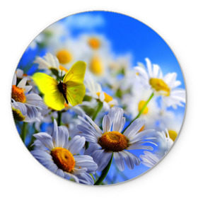 Коврик круглый с принтом Ромашки и бабочка в Курске, резина и полиэстер | круглая форма, изображение наносится на всю лицевую часть | бабочки | лето | природа | ромашки | цветы