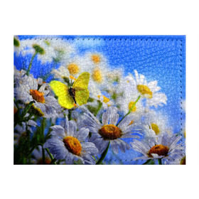 Обложка для студенческого билета с принтом Ромашки и бабочка в Курске, натуральная кожа | Размер: 11*8 см; Печать на всей внешней стороне | Тематика изображения на принте: бабочки | лето | природа | ромашки | цветы