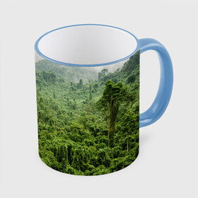 Кружка 3D с принтом Потрясающие тропики в Курске, керамика | ёмкость 330 мл | деревья | джунгли | зелень | красиво | лес | пейзаж | фото